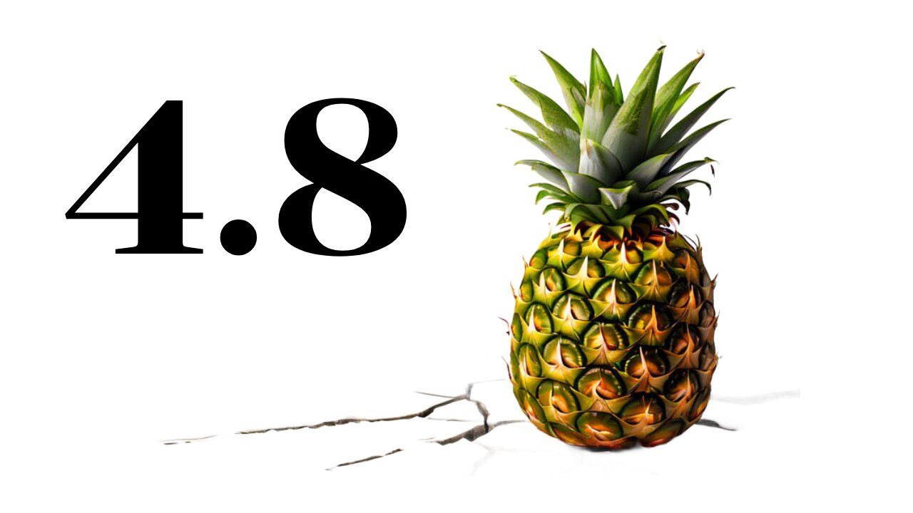 4.8 PINEAPPLE
