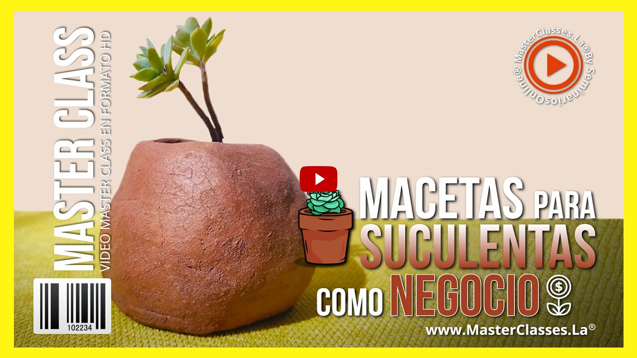 Macetas para Suculentas como Negocio - Suculentas - AfloadSO