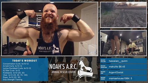 Gym Session w/Hank-a-Tank [Week 19] - Chest & Triceps // Animal Rescue Stream :)