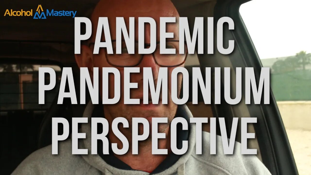 Pandemic Pandemonium Perspective