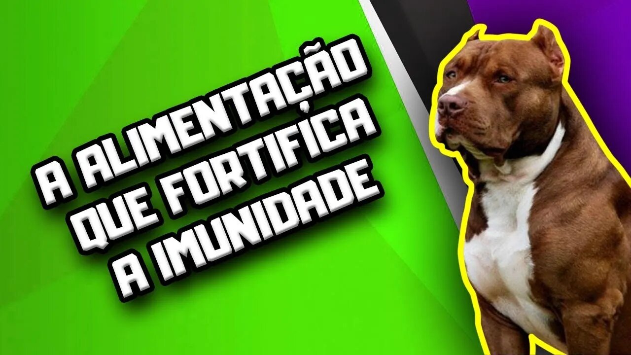 7 alimentos que melhoram a imunidade do Cachorro | Dr. Edgard Gomes | Alimentação natural para Cães