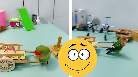 Intelligent Parrot.
