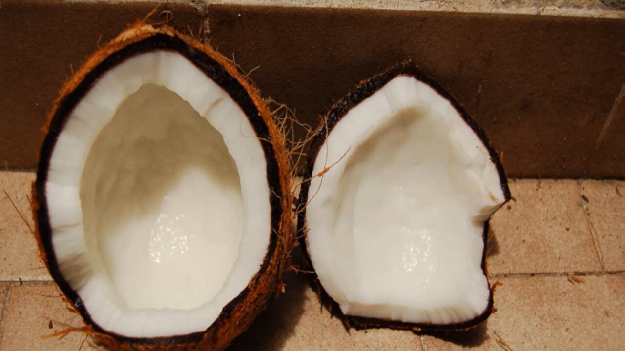 ( Oleo de coco ) serve para ajudar na proteção do sistema imunológico