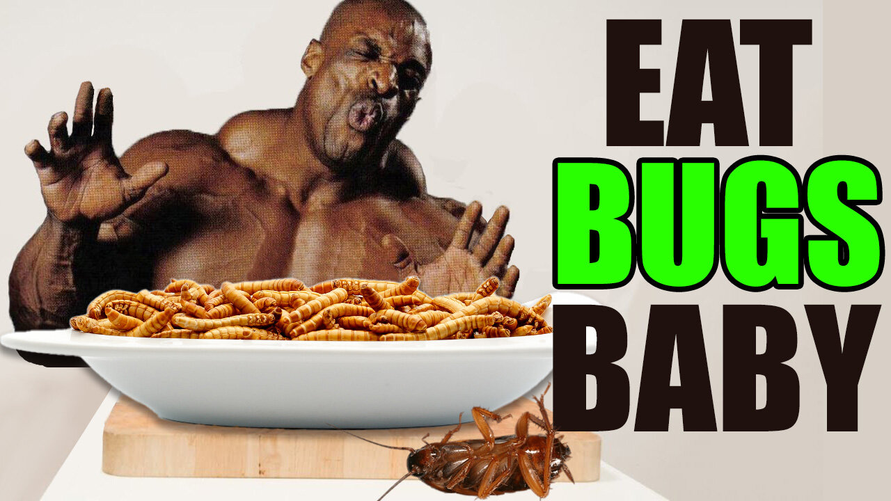 Eat Bugs Baby: Your New Protien?