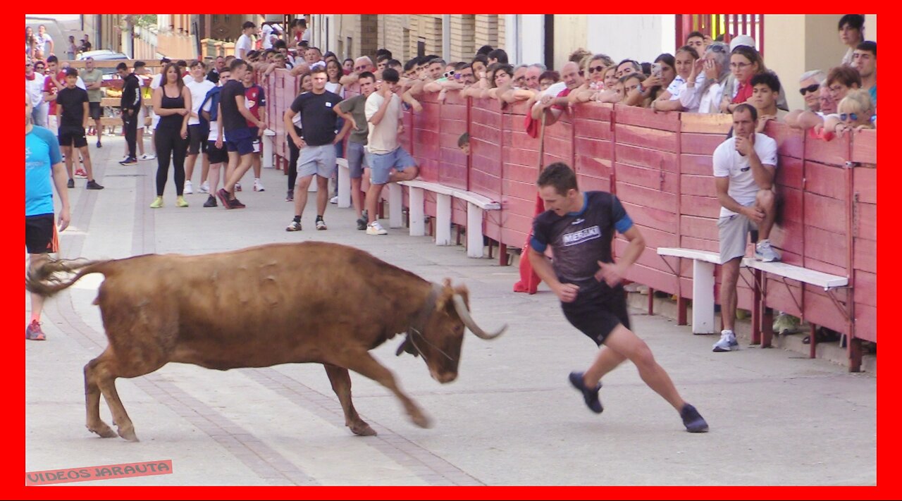 CADREITA ( NAVARRA ) TARDE VACAS EN CALLE ( VIERNES 21 JULIO 2023 ) GAND.USTARROZ