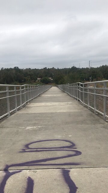 Do You Hear What I Hear?