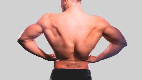 REAL?! HUGE Back Workout At Home Without Equipment