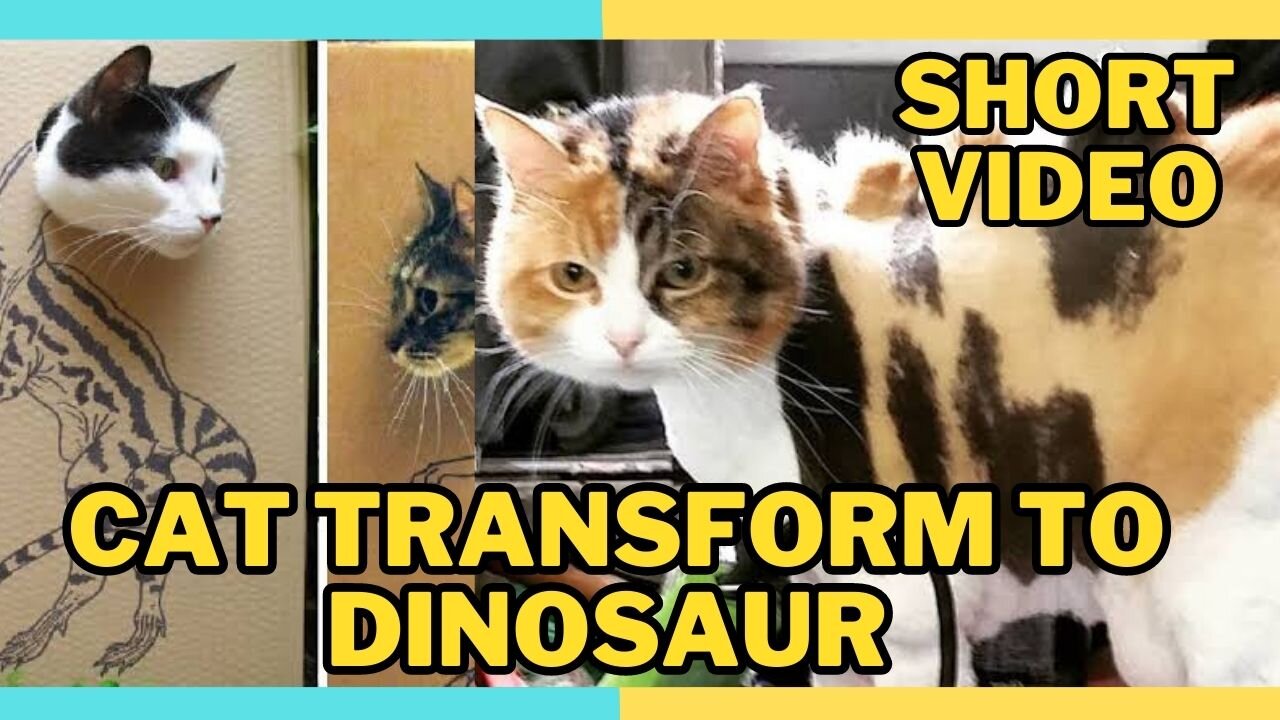 Cats Think They Transform To Dinosaur - Funny Video | Entertainment World