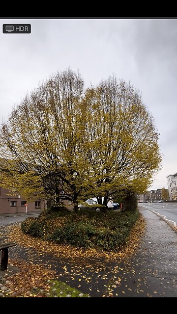 Views in Scotland | nature in uk|nadia Rashid uk vlogs