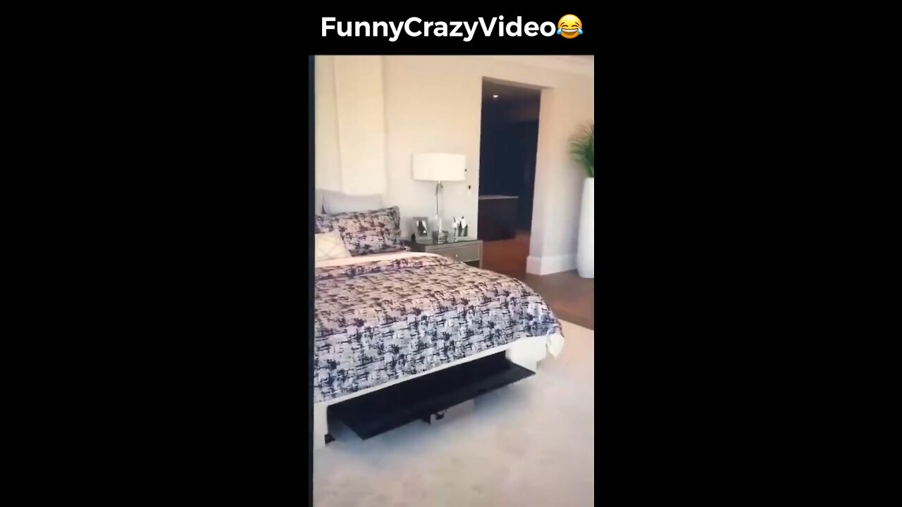 Mr FunnyCrazyVideo😂 Just Incredible Video Funny and Crazy #Like Follow for Follow 🥰