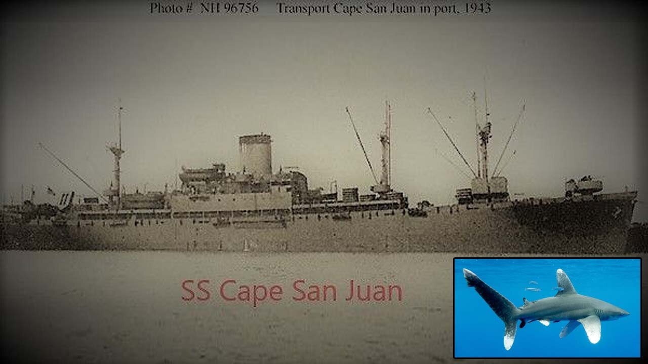 USAT Cape San Juan: One of the Highest Losses of Life due to Shark Attacks after a Torpedo Hit! 🦈