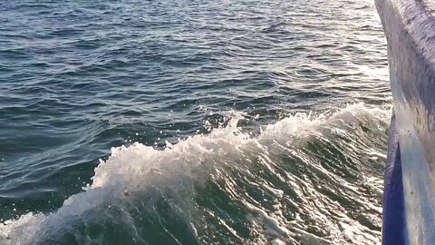 MUSICA Y OCEANO