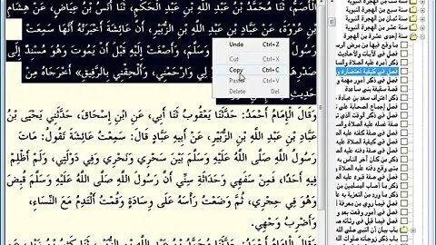 202 المجلس رقم 202 موسوعة 'البداية والنهاية' للحافظ المفسر ابن كثير، والمجلس رقم 126 من السيرة