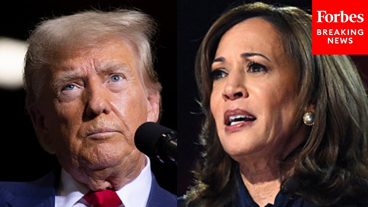 'She Destroyed San Francisco’: Donald Trump Eviscerates Kamala Harris Over District Attorney Record