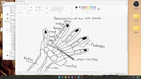 Session 3: Metagame (Paint, Typing, Aim Training) - Part 3 -