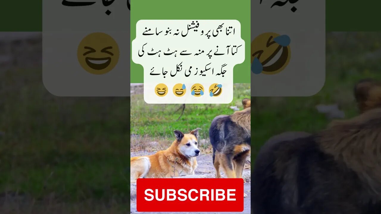 Excuse me to DOG | interesting facts | funny quotes | joke in Urdu