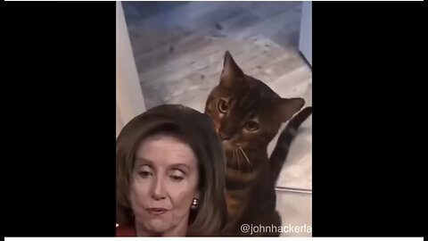 OH SNAP 😂 This is Too MUCH! I didn’t see it coming 😸