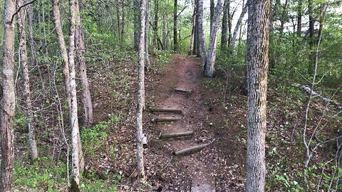 One of my Favorite Features in Itasca State Park