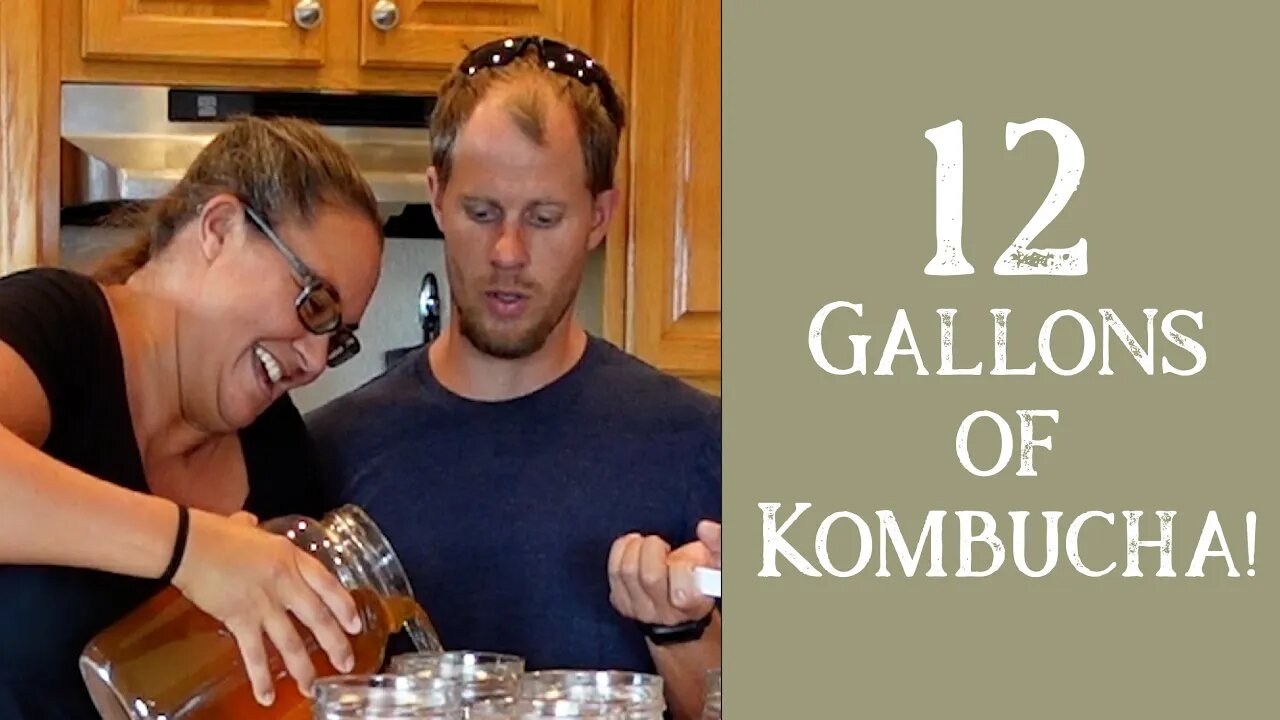 Brewing Kombucha | Large Family Style