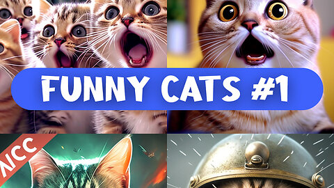 Funny Cat Videos Compilation - Cats Fun Animals Compilation Videos
