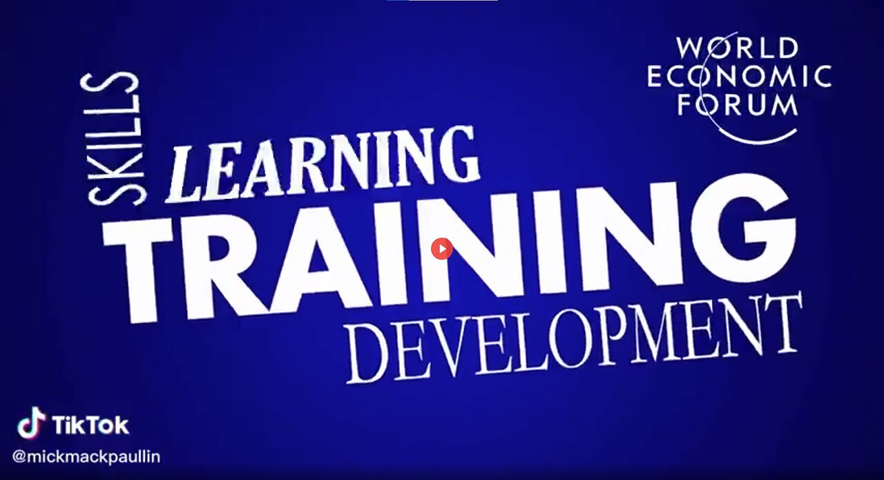 MISCHA PAULLIN: THE WORLD ECONOMIC FORUM TRAINING VIDEO FOR NEW HIRES!