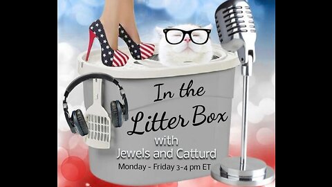 Ukraine Bottomless Pit - In the Litter Box w/ Jewels & Catturd 2/24/2023 - Ep. 274