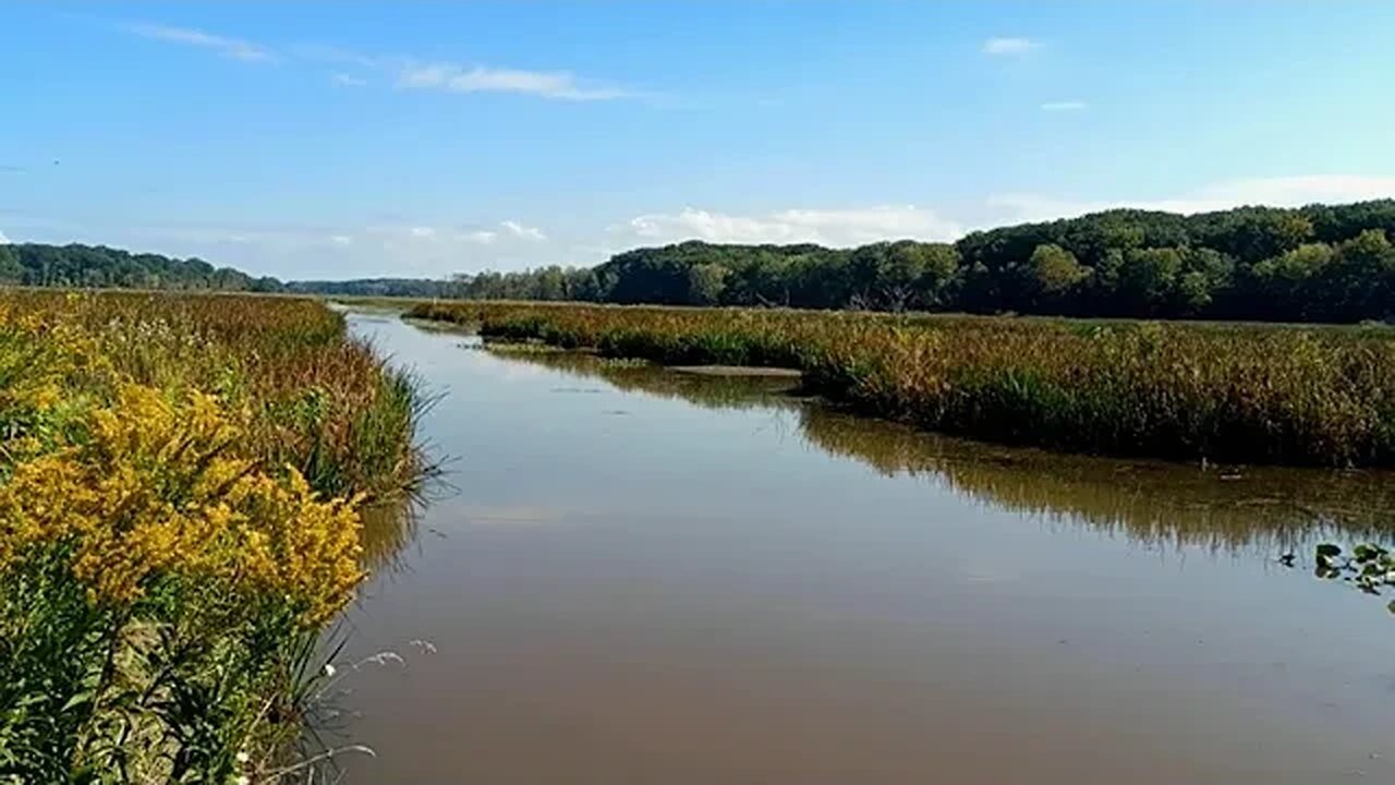 Mentor Lagoons Nature Preserve, Mentor, Ohio ~ Recorded September 29, 2023