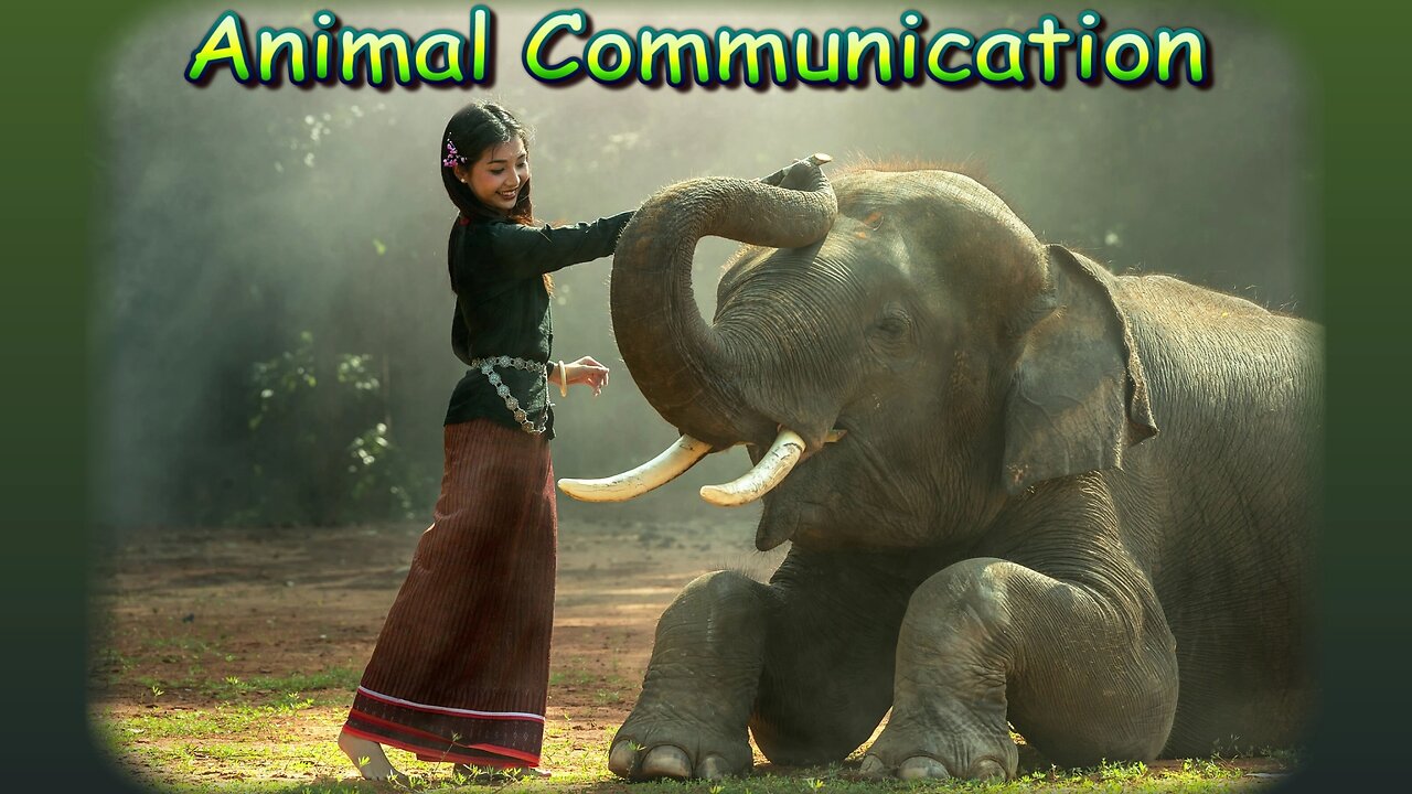 Animal communication