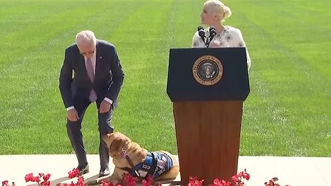 Selma Blair, President Biden and service dog spark laughter on stage