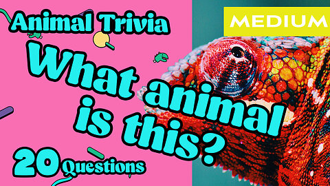 Animal Lovers Can't Get Enough of this Quiz! / LEVEL: MEDIUM ANIMAL QUIZ