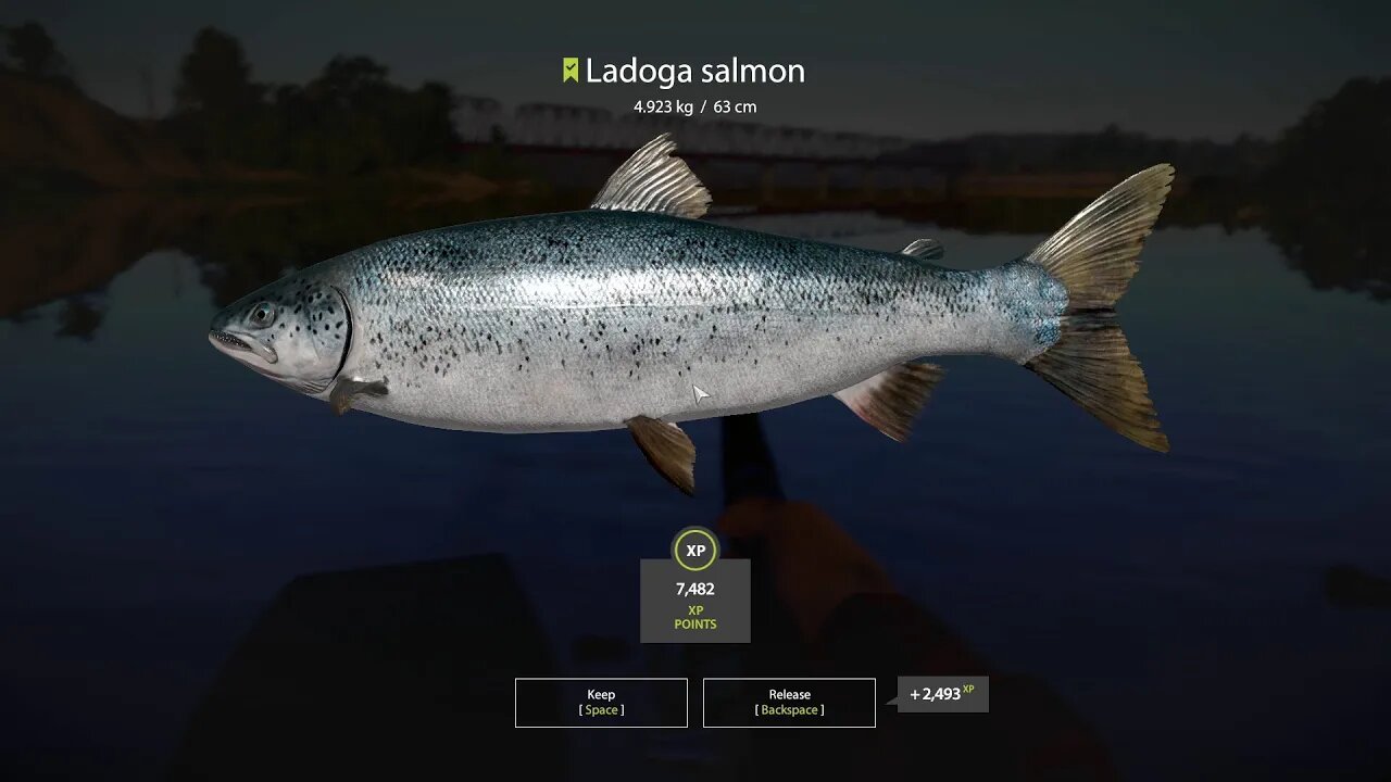 Russian Fishing 4 Volkhov River Ladogo Salmon 4 . 923 Kg