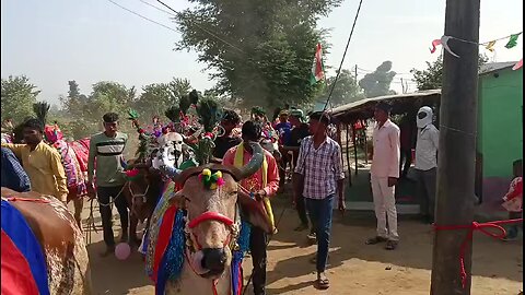 famous Indian festival in India Diwali festival 🥮🎎