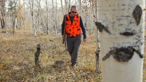 Man hunting with his rifle in the aspen trees