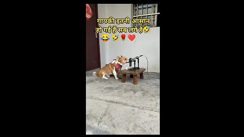 Dog Singing