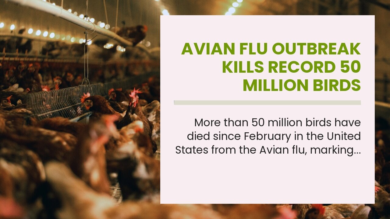 Avian flu outbreak kills record 50 million birds