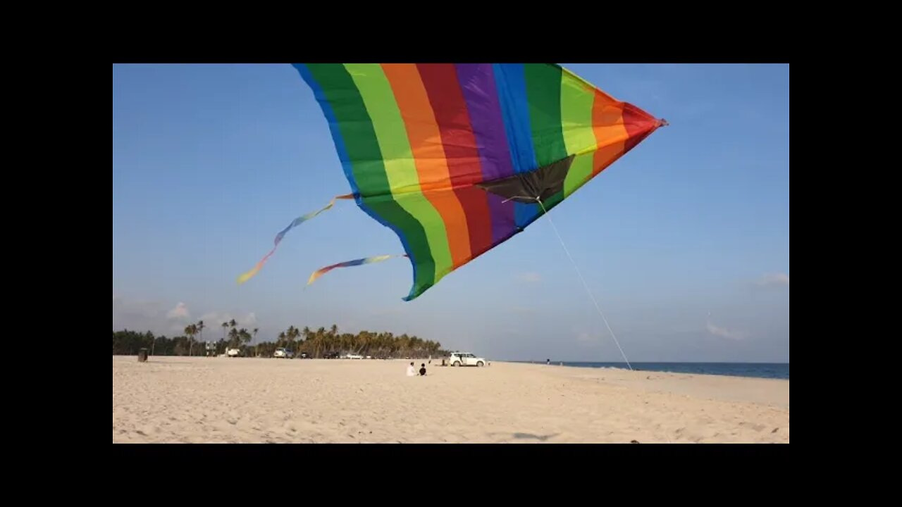 Beach Kite flying