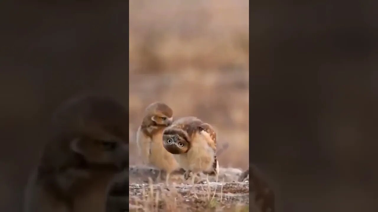 Look at some things in a different way, right