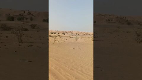 hababi safari time comes to Dubai #amazingdubai #dubaisafari #safari