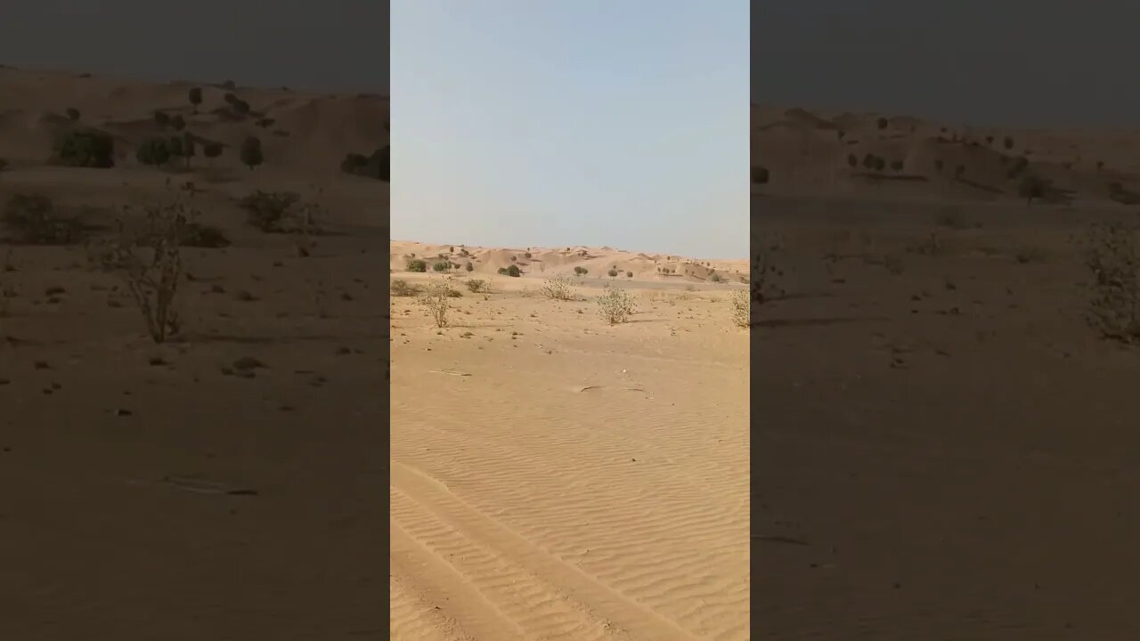 hababi safari time comes to Dubai #amazingdubai #dubaisafari #safari