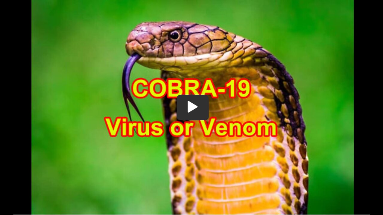 COBRA-19 Virus or Venom - And it may be in your tap water!!