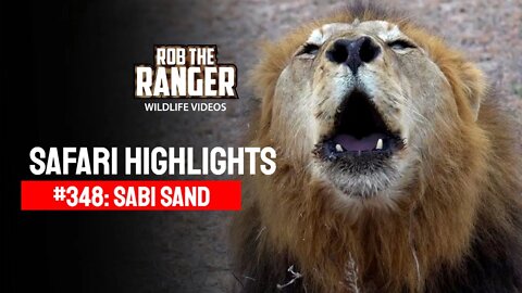 Safari Highlights #348: 27 Jun - 01 Jul 2015 | Sabi Sand Nature reserve | Latest Wildlife Sightings