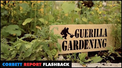 FLASHBACK: Guerrilla Gardening (2015)