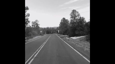 Arizona Dreamin’