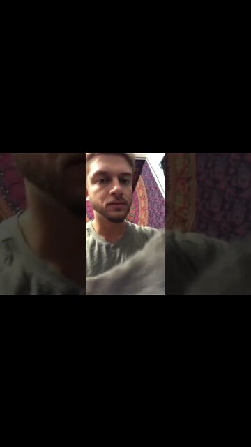 This is a really cute cat