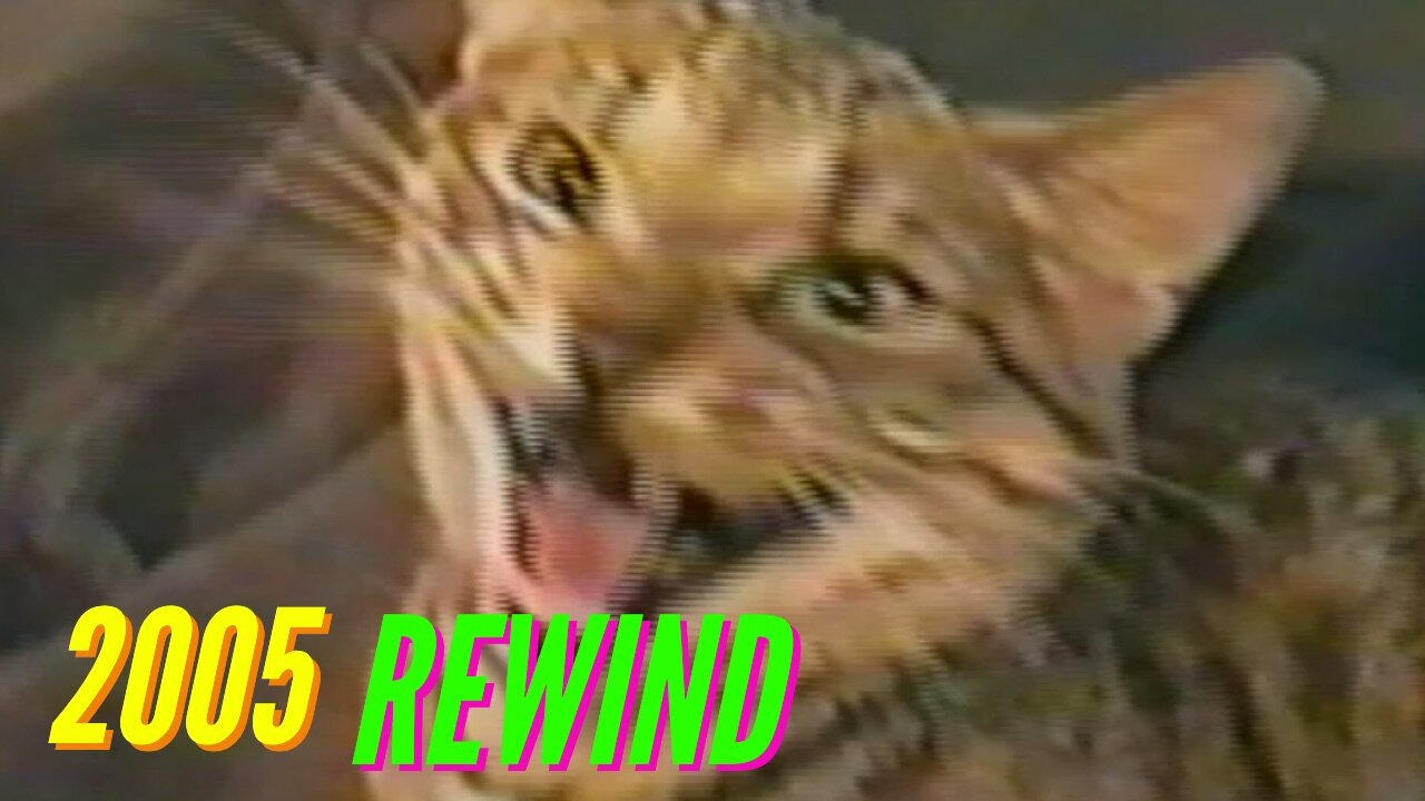 ATTACK OF THE PSYCHO CAT! (2005 REWIND)