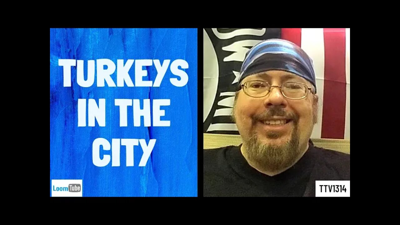 TURKEYS IN THE CITY - 072821 TTV1314