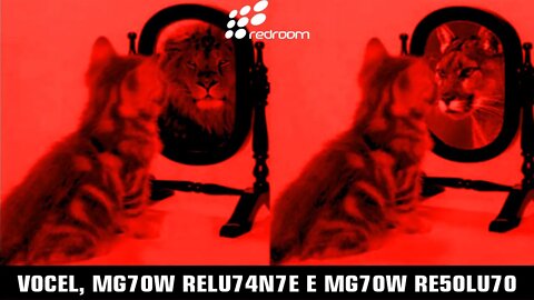 V0CEL, MG70W RELU74N7E E MG70W RE50LU70 (R4CC00N1NG R4CC00N)