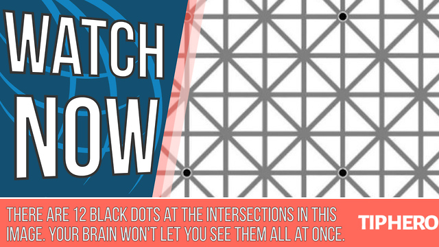 The Internet Is Buzzing Over This Optical Illusion