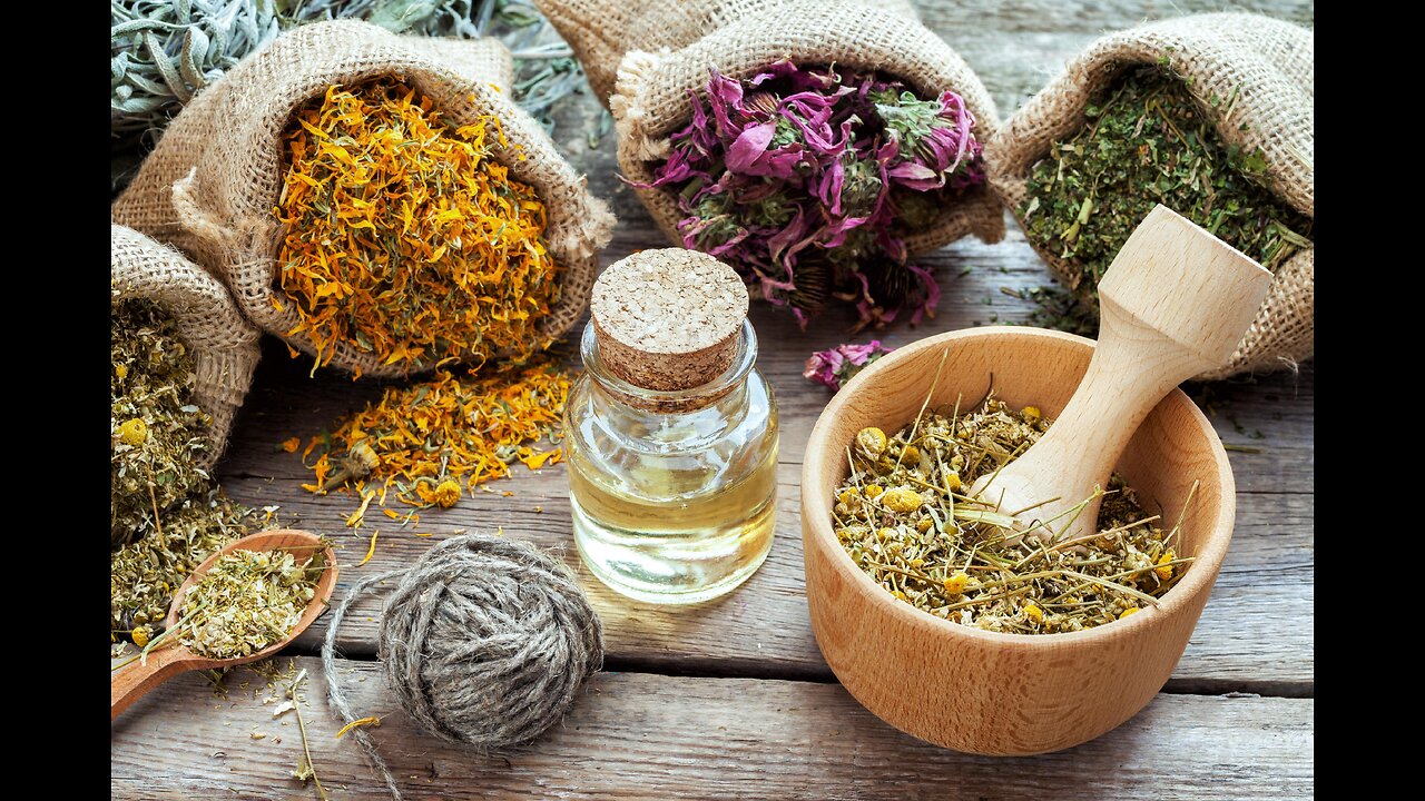 Herbs, Hangovers & Nausea With Kate Shemirani