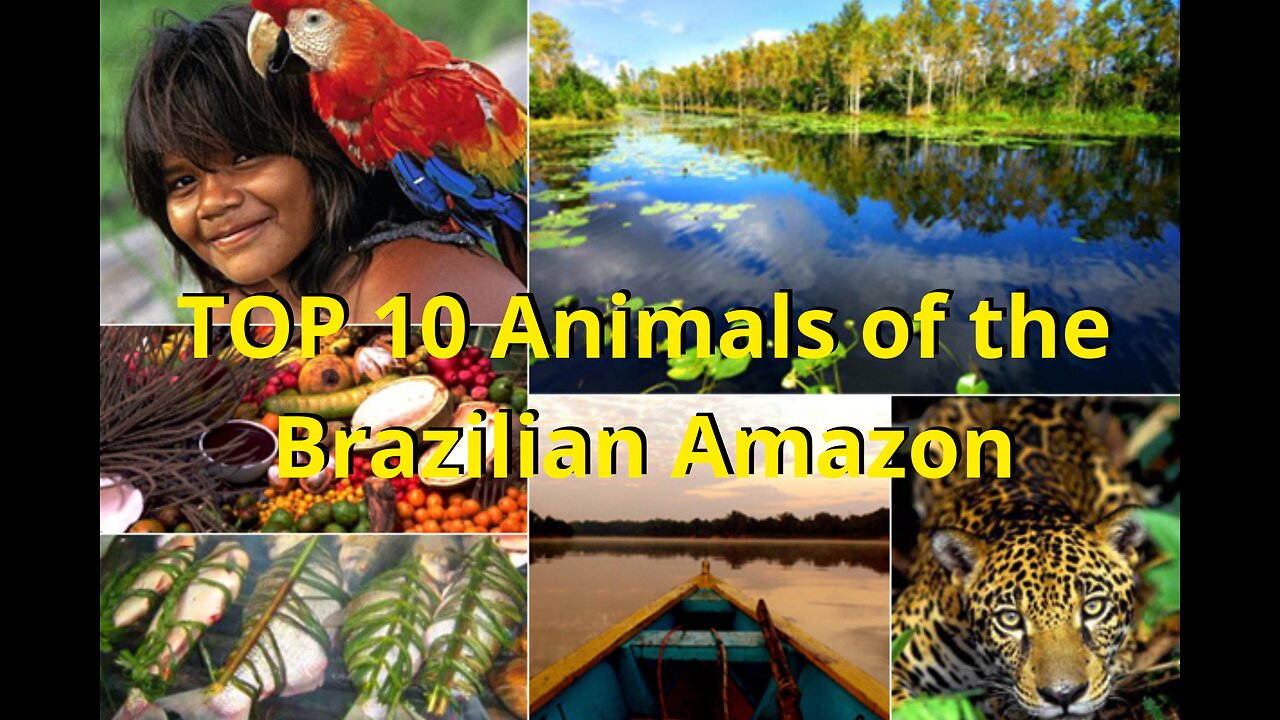 Top 10 Animals of the Amazon